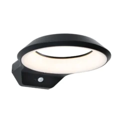 Paulmann Anela LED-Sensor-Außenwandleuchte 3.000 K