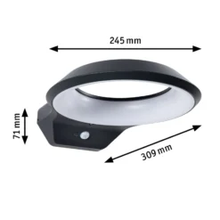 Paulmann Anela LED-Sensor-Außenwandleuchte 2.200 K