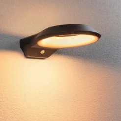 Paulmann Anela LED-Sensor-Außenwandleuchte 2.200 K