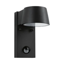 Paulmann Capea LED-Außenwandlampe mit Sensor