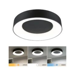 Paulmann HomeSpa Casca Deckenleuchte Ø40cm schwarz