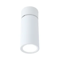 Paulmann LED-Deckenlampe Turnal Coin weiß, Metall, 2.700 K
