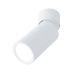 Paulmann LED-Deckenlampe Turnal Coin weiß, Metall, 2.700 K