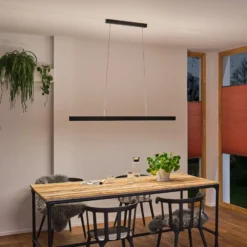 Paulmann LED-Hängelampe Aptare, schwarz, Sensor, dimmbar