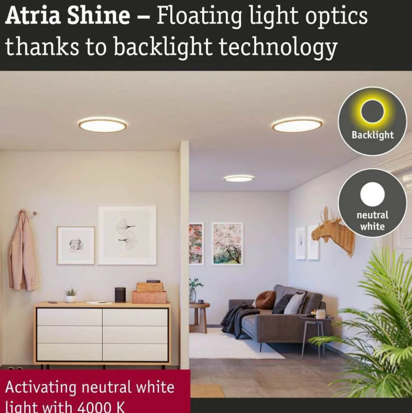 Paulmann LED-Panel Atria Shine Ø42cm holz IP44 4000K an/aus