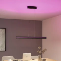 Paulmann LED-Pendellampe Raiko, schwarz, 100 cm, RGBW, dim.