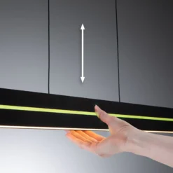 Paulmann LED-Pendellampe Raiko, schwarz, 100 cm, RGBW, dim.