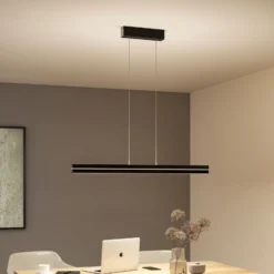Paulmann LED-Pendellampe Raiko, schwarz, 100 cm, RGBW, dim.
