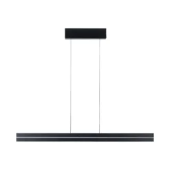 Paulmann LED-Pendellampe Raiko, schwarz, 100 cm, RGBW, dim.