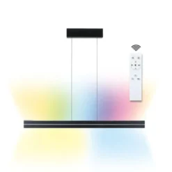 Paulmann LED-Pendellampe Raiko, schwarz, 100 cm, RGBW, dim.