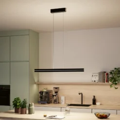 Paulmann LED-Pendellampe Raiko, schwarz, 100 cm, RGBW, dim.
