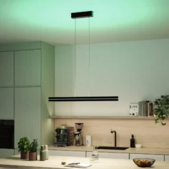 Paulmann LED-Pendellampe Raiko, schwarz, 100 cm, RGBW, dim.