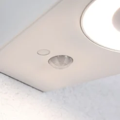 Paulmann LED-Sensor-Außenwandlampe Silma weiß 1-flammig IP44