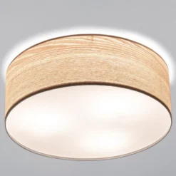 Paulmann Liska Deckenlampe in hellem Holz