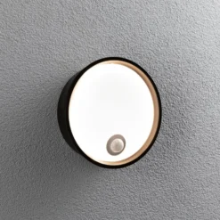 Paulmann Platomo LED-Außenwandlampe Sensor schwarz