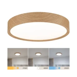 Paulmann Tega LED-Deckenleuchte IP44 CCT holz