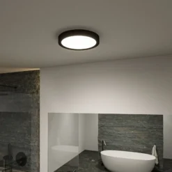 Paulmann Tega LED-Deckenleuchte IP44 CCT schwarz