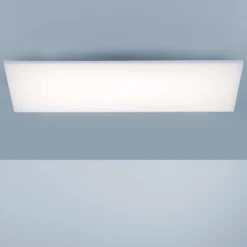 Paul Neuhaus Frameless Deckenlampe RGBW 60x30cm