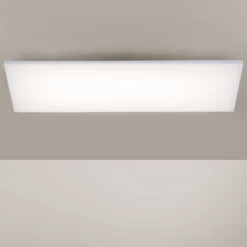 Paul Neuhaus Frameless Deckenlampe RGBW 60x30cm