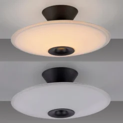 Paul Neuhaus LED-Deckenlampe Elipsa, weiß/schwarz, Ø 35 cm