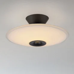Paul Neuhaus LED-Deckenlampe Elipsa, weiß/schwarz, Ø 35 cm