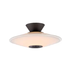 Paul Neuhaus LED-Deckenlampe Elipsa, weiß/schwarz, Ø 35 cm