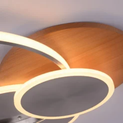 Paul Neuhaus LED-Deckenlampe Palma, Holz, CCT, 65cm, dimmbar