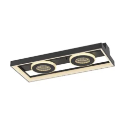 Paul Neuhaus LED-Deckenlampe Traforo, 45 cm, CCT, dimmbar