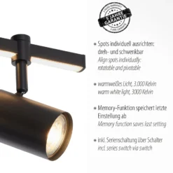 Paul Neuhaus LED-Deckenstrahler Barik, 40 cm, verstellbar