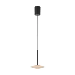 Paul Neuhaus LED-Hängelampe Elipsa, 1-flg., weiß/schwarz