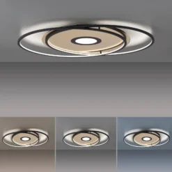 Paul Neuhaus Q-AMIRA LED-Deckenlampe oval, schwarz