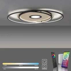 Paul Neuhaus Q-AMIRA LED-Deckenlampe oval, schwarz