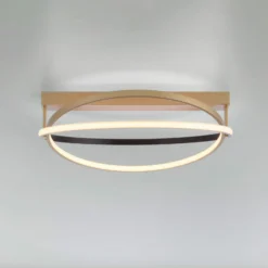 Paul Neuhaus Q-Beluga LED-Deckenleuchte, messing