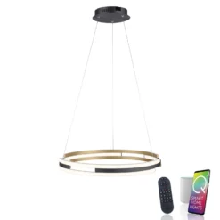 Paul Neuhaus Q-Beluga LED-Hängeleuchte, messing