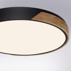 Paul Neuhaus Q-BILA LED-Deckenlampe, schwarz/eiche