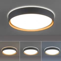 Paul Neuhaus Q-EMILIA LED-Deckenleuchte, grau/holz