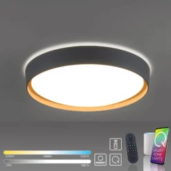Paul Neuhaus Q-EMILIA LED-Deckenleuchte, grau/holz
