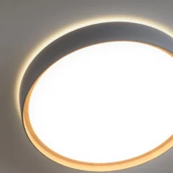 Paul Neuhaus Q-EMILIA LED-Deckenleuchte, grau/holz