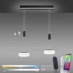 Paul Neuhaus Q-ETIENNE LED-Hängelampe 2fl, schwarz