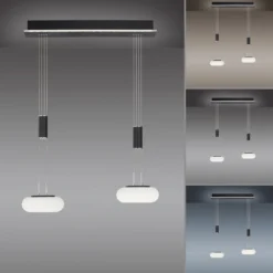 Paul Neuhaus Q-ETIENNE LED-Hängelampe 2fl, schwarz