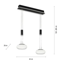 Paul Neuhaus Q-ETIENNE LED-Hängelampe 2fl, schwarz