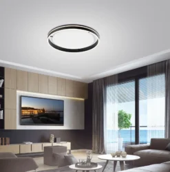 Paul Neuhaus Q-VITO LED-Deckenlampe 79cm anthrazit