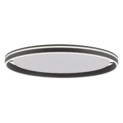 Paul Neuhaus Q-VITO LED-Deckenlampe 79cm anthrazit