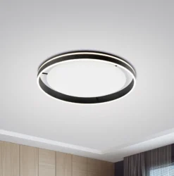 Paul Neuhaus Q-VITO LED-Deckenlampe 79cm anthrazit