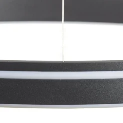 Paul Neuhaus Q-VITO LED-Hängelampe 79 cm anthrazit