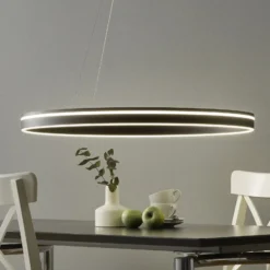 Paul Neuhaus Q-VITO LED-Hängelampe 79 cm anthrazit