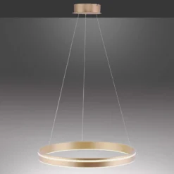 Paul Neuhaus Q-VITO LED-Pendelleuchte,1 Ring