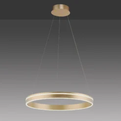 Paul Neuhaus Q-VITO LED-Pendelleuchte,1 Ring