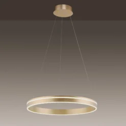 Paul Neuhaus Q-VITO LED-Pendelleuchte,1 Ring