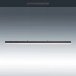 Paul Neuhaus Sina LED-Hängeleuchte CCT Touch